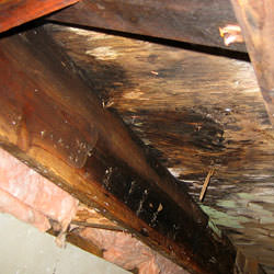 wet rot showing on joist and girder wood in a home in Lorton
